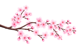 decorative branch left